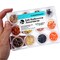 Buttons Galore Fall Halloween Embellishment Assortment for Crafts - 12 Colors